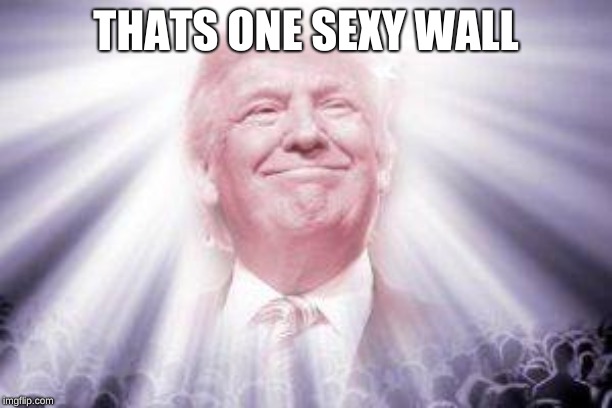 Trump as he sees himself | THATS ONE SEXY WALL | image tagged in trump as he sees himself | made w/ Imgflip meme maker