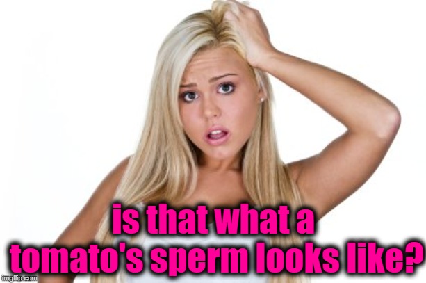 Dumb Blonde | is that what a tomato's sperm looks like? | image tagged in dumb blonde | made w/ Imgflip meme maker