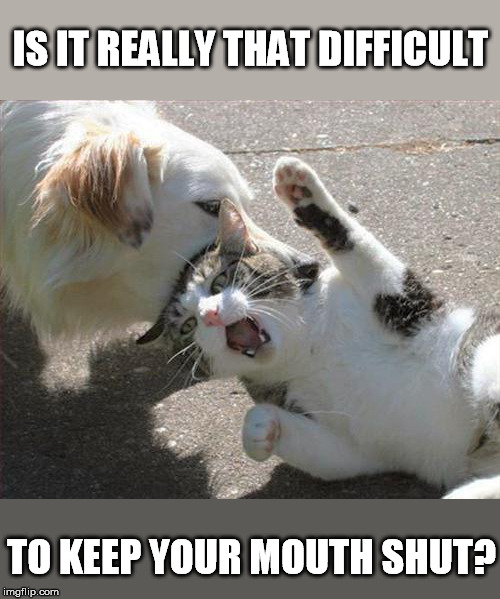 IS IT REALLY THAT DIFFICULT TO KEEP YOUR MOUTH SHUT? | made w/ Imgflip meme maker