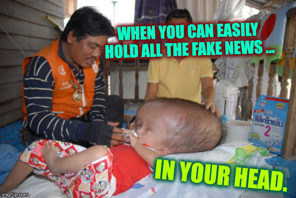 WHEN YOU CAN EASILY HOLD ALL THE FAKE NEWS ... IN YOUR HEAD. | made w/ Imgflip meme maker