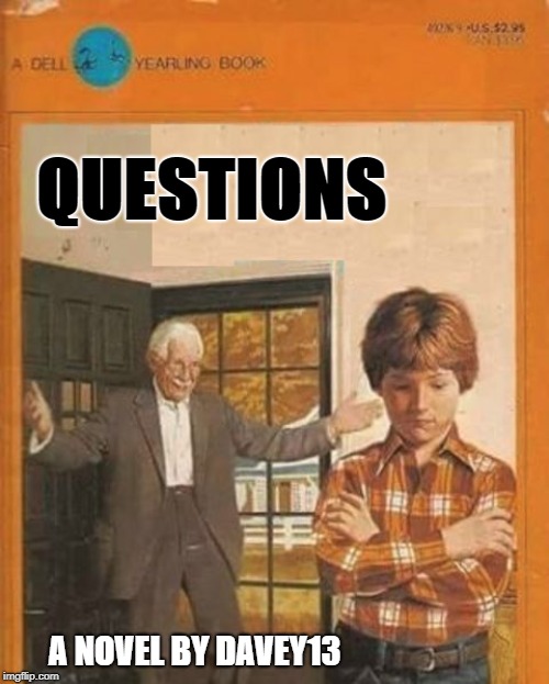 book cover | QUESTIONS; A NOVEL BY DAVEY13 | image tagged in book cover | made w/ Imgflip meme maker