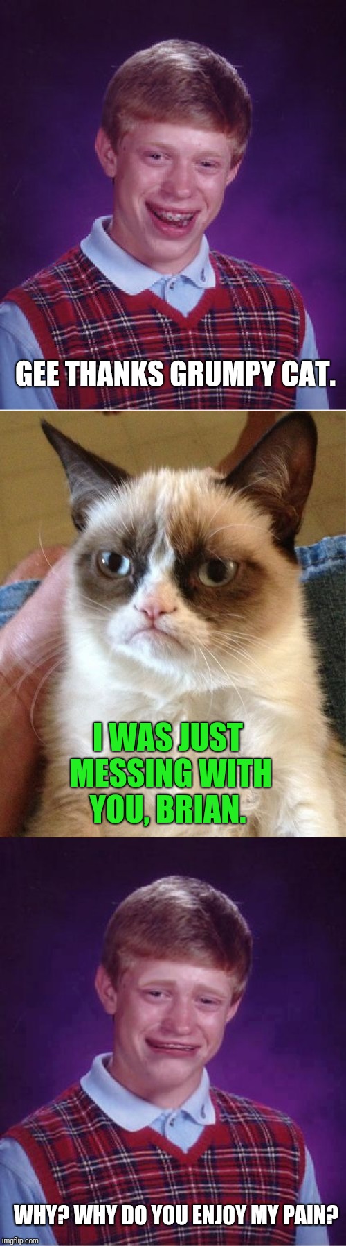 GEE THANKS GRUMPY CAT. I WAS JUST MESSING WITH YOU, BRIAN. WHY? WHY DO YOU ENJOY MY PAIN? | image tagged in memes,bad luck brian,grumpy cat,bad luck brian cry | made w/ Imgflip meme maker