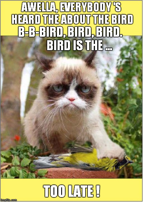 The Bird Is The Word ! | AWELLA, EVERYBODY 'S HEARD THE ABOUT THE BIRD; B-B-BIRD, BIRD, BIRD.        BIRD IS THE ... TOO LATE ! | image tagged in cats,grumpy cat | made w/ Imgflip meme maker