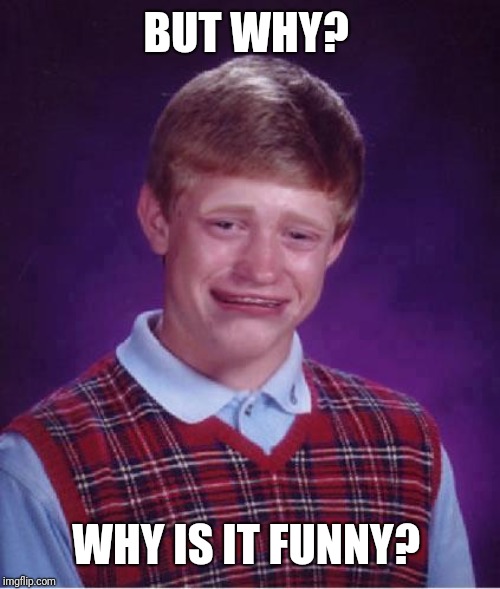 Bad Luck Brian Cry | BUT WHY? WHY IS IT FUNNY? | image tagged in bad luck brian cry | made w/ Imgflip meme maker