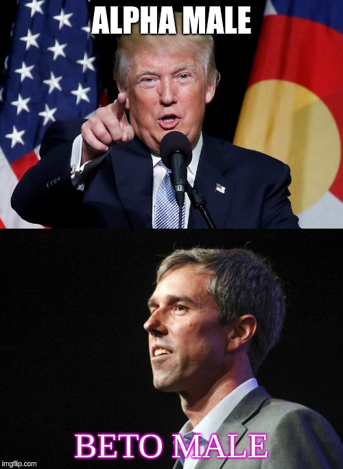 ALPHA MALE; BETO MALE | made w/ Imgflip meme maker