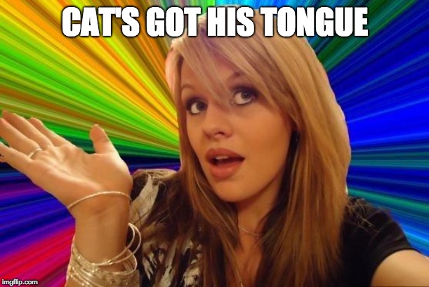 Dumb Blonde Meme | CAT'S GOT HIS TONGUE | image tagged in memes,dumb blonde | made w/ Imgflip meme maker