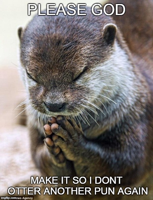Thank you Lord Otter | PLEASE GOD; MAKE IT SO I DONT OTTER ANOTHER PUN AGAIN | image tagged in thank you lord otter | made w/ Imgflip meme maker