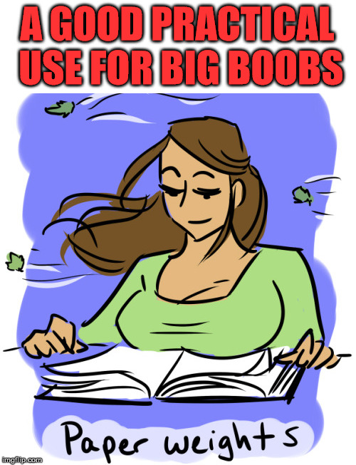 My wife likes reading outdoors and can do it on a windy day. | A GOOD PRACTICAL USE FOR BIG BOOBS | image tagged in big boobs,busty,solutions,funny | made w/ Imgflip meme maker
