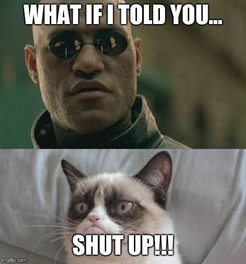 Matrix Morpheus Grumpy Cat Meme | WHAT IF I TOLD YOU... SHUT UP!!! | image tagged in matrix morpheus,grumpy cat,meme | made w/ Imgflip meme maker