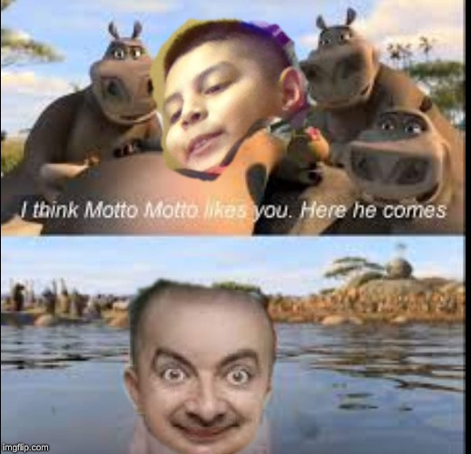 I Think Motto Motto Likes You | image tagged in edit,memes,funny,madagascar,wierd,meme | made w/ Imgflip meme maker