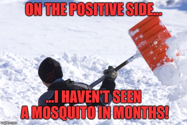 Blizzard | ON THE POSITIVE SIDE... ...I HAVEN'T SEEN A MOSQUITO IN MONTHS! | image tagged in blizzard | made w/ Imgflip meme maker