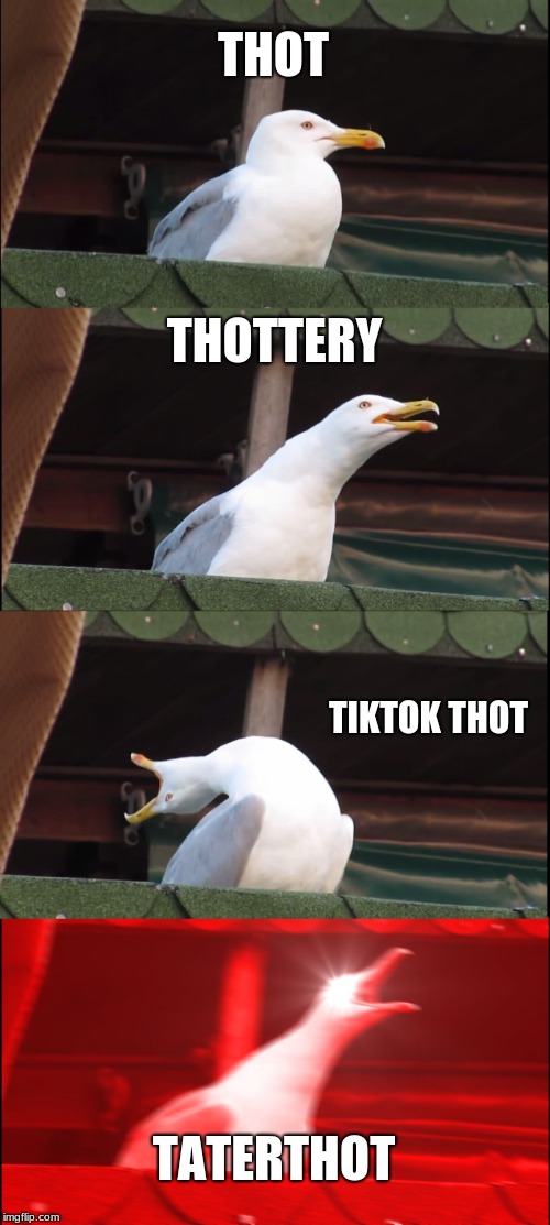 Inhaling Seagull | THOT; THOTTERY; TIKTOK THOT; TATERTHOT | image tagged in memes,inhaling seagull | made w/ Imgflip meme maker