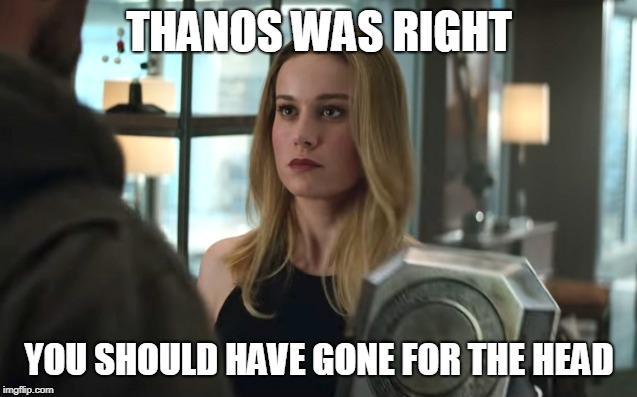 THANOS WAS RIGHT; YOU SHOULD HAVE GONE FOR THE HEAD | image tagged in captain marvel,thor,avengers | made w/ Imgflip meme maker