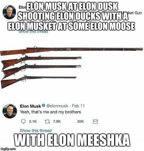 B-T-W Meeshka Is Mouse In Russian | ELON MUSK AT ELON DUSK SHOOTING ELON DUCKS WITH A ELON MUSKET AT SOME ELON MOOSE; WITH ELON MEESHKA | image tagged in elon musk,memes,dead | made w/ Imgflip meme maker