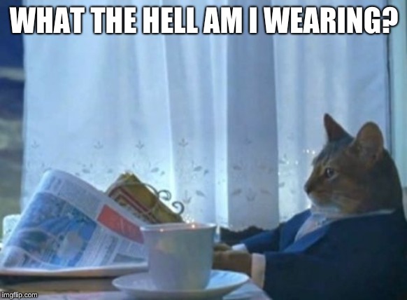 I Should Buy A Boat Cat | WHAT THE HELL AM I WEARING? | image tagged in memes,i should buy a boat cat | made w/ Imgflip meme maker