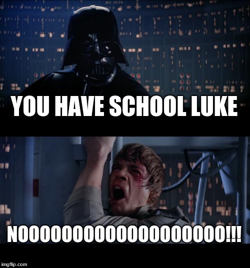Star Wars No Meme | YOU HAVE SCHOOL LUKE; NOOOOOOOOOOOOOOOOOOO!!! | image tagged in memes,star wars no | made w/ Imgflip meme maker