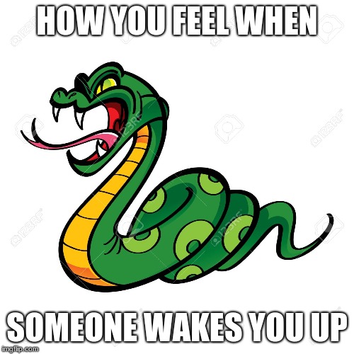 waking up | HOW YOU FEEL WHEN; SOMEONE WAKES YOU UP | image tagged in funny memes | made w/ Imgflip meme maker