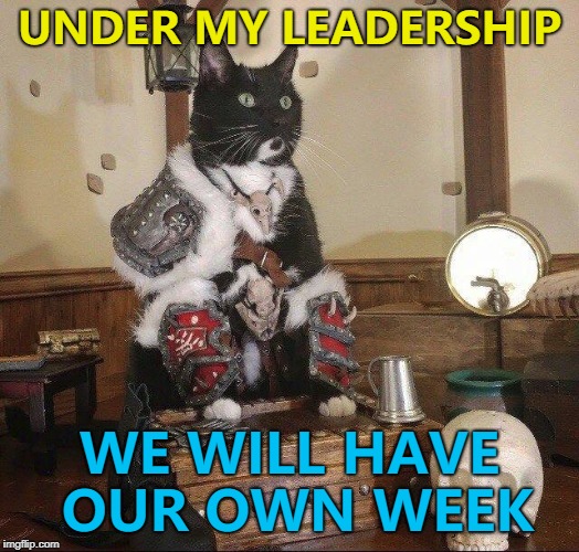 Catto week? :) | UNDER MY LEADERSHIP; WE WILL HAVE OUR OWN WEEK | image tagged in war lord cat,memes,doggo week,cats,animals | made w/ Imgflip meme maker