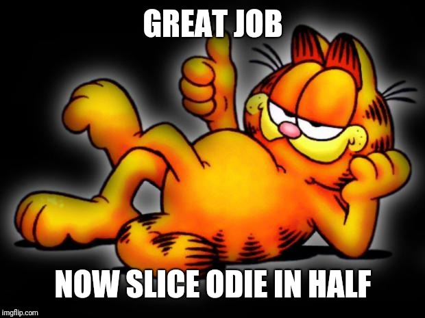 garfield thumbs up | GREAT JOB NOW SLICE ODIE IN HALF | image tagged in garfield thumbs up | made w/ Imgflip meme maker