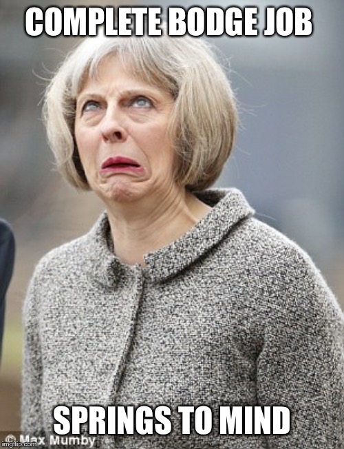 Theresa May | COMPLETE BODGE JOB SPRINGS TO MIND | image tagged in theresa may | made w/ Imgflip meme maker