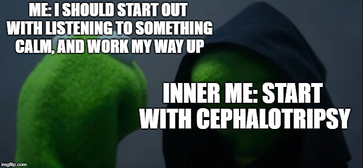 The internal morning struggle | ME: I SHOULD START OUT WITH LISTENING TO SOMETHING CALM, AND WORK MY WAY UP; INNER ME: START WITH CEPHALOTRIPSY | image tagged in memes,evil kermit,funny,secret tag,heavy metal | made w/ Imgflip meme maker
