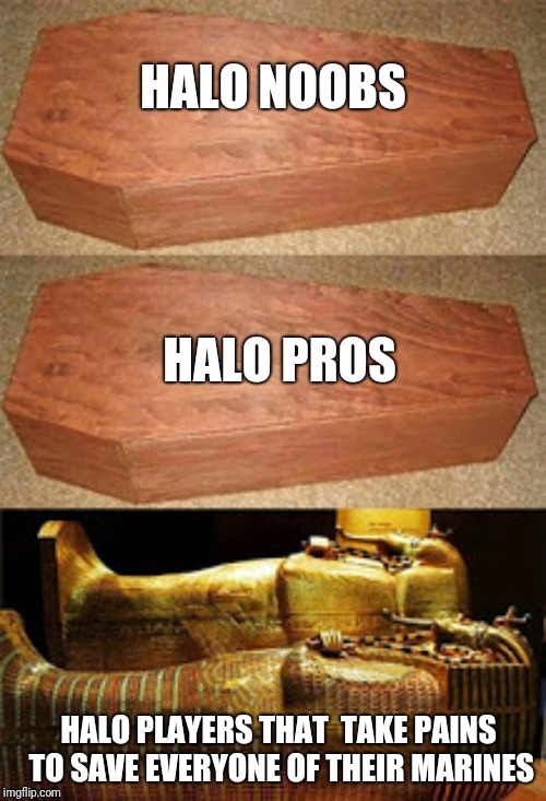 They are good people | HALO NOOBS; HALO PROS; HALO PLAYERS THAT  TAKE PAINS TO SAVE EVERYONE OF THEIR MARINES | image tagged in golden coffin meme,halo,noobs,marines,sarcophagus,pros | made w/ Imgflip meme maker