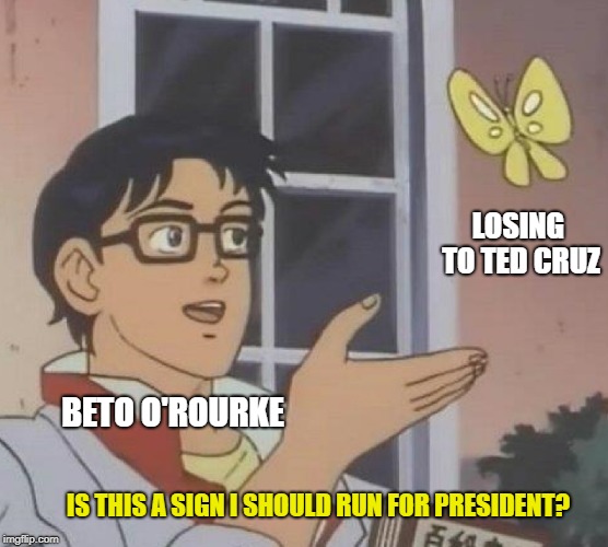 Is This A Pigeon Meme | LOSING TO TED CRUZ; BETO O'ROURKE; IS THIS A SIGN I SHOULD RUN FOR PRESIDENT? | image tagged in memes,is this a pigeon | made w/ Imgflip meme maker