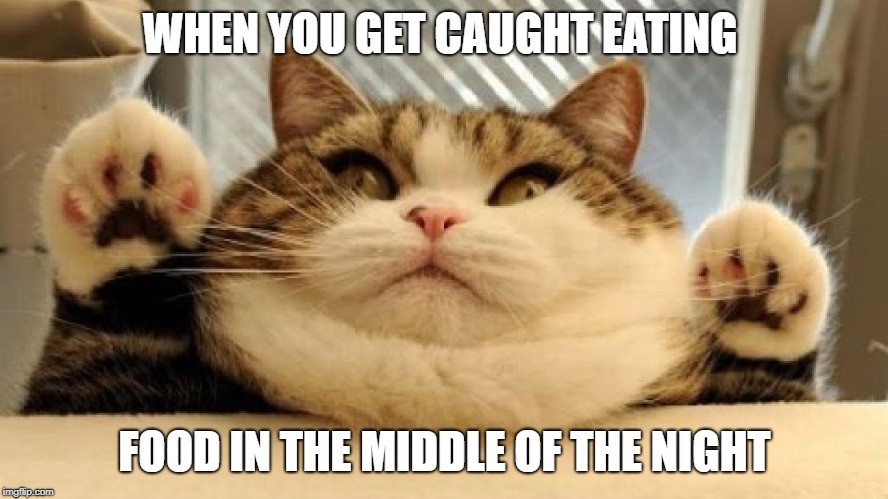 OH NO............ | WHEN YOU GET CAUGHT EATING; FOOD IN THE MIDDLE OF THE NIGHT | image tagged in memes | made w/ Imgflip meme maker
