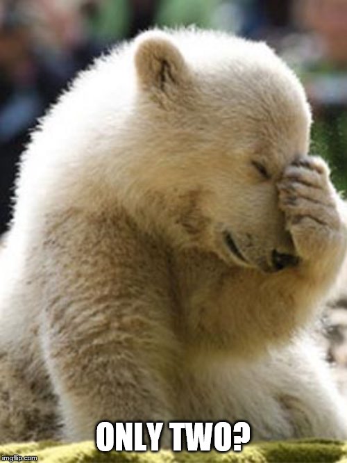 Facepalm Bear Meme | ONLY TWO? | image tagged in memes,facepalm bear | made w/ Imgflip meme maker