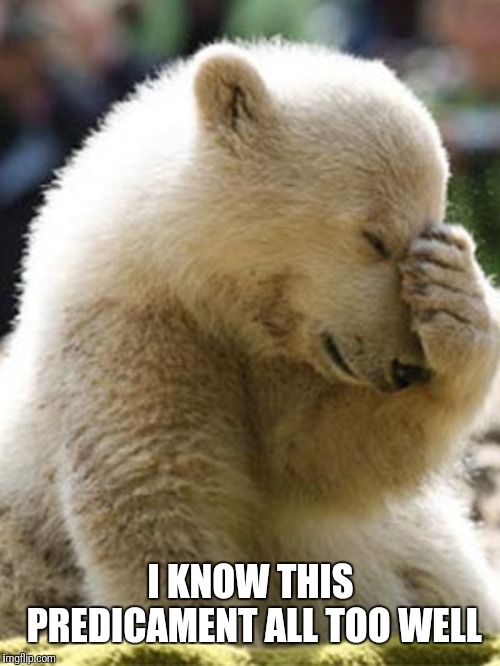 Facepalm Bear Meme | I KNOW THIS PREDICAMENT ALL TOO WELL | image tagged in memes,facepalm bear | made w/ Imgflip meme maker