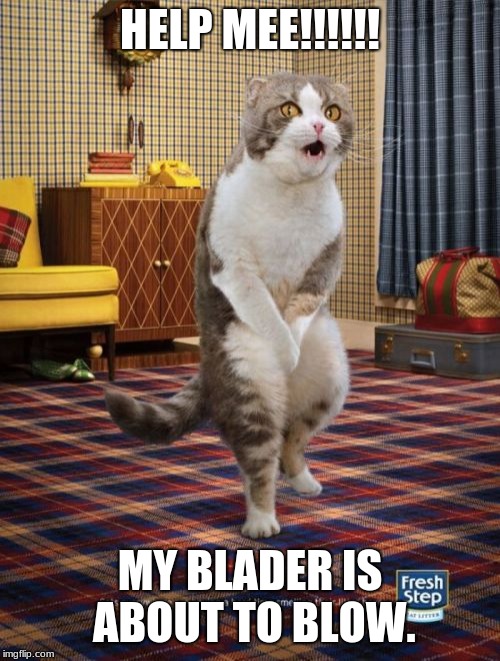 Gotta Go Cat Meme | HELP MEE!!!!!! MY BLADER IS ABOUT TO BLOW. | image tagged in memes,gotta go cat | made w/ Imgflip meme maker