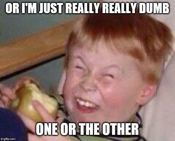 Apple eating kid | OR I'M JUST REALLY REALLY DUMB ONE OR THE OTHER | image tagged in apple eating kid | made w/ Imgflip meme maker