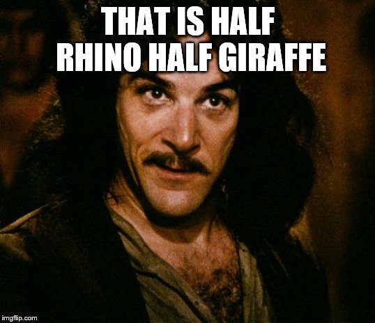 Inigo Montoya Meme | THAT IS HALF RHINO HALF GIRAFFE | image tagged in memes,inigo montoya | made w/ Imgflip meme maker