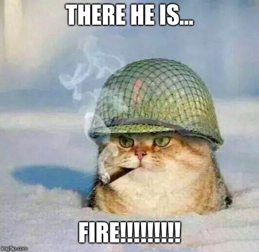 War Cat |  THERE HE IS... FIRE!!!!!!!!! | image tagged in war cat | made w/ Imgflip meme maker