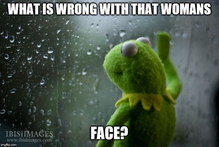 kermit window | WHAT IS WRONG WITH THAT WOMANS FACE? | image tagged in kermit window | made w/ Imgflip meme maker