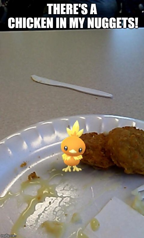 I am having WAY too much fun with Pokémon GO Snapshot... | THERE'S A CHICKEN IN MY NUGGETS! | image tagged in torchic,chicken nuggets,pokemon go | made w/ Imgflip meme maker