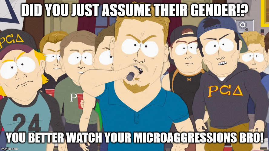 DID YOU JUST ASSUME THEIR GENDER!? YOU BETTER WATCH YOUR MICROAGGRESSIONS BRO! | image tagged in pc principle | made w/ Imgflip meme maker