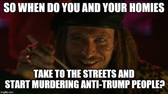 SO WHEN DO YOU AND YOUR HOMIES TAKE TO THE STREETS AND START MURDERING ANTI-TRUMP PEOPLE? | made w/ Imgflip meme maker