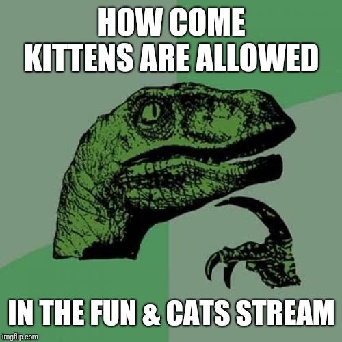 Philosoraptor Meme | HOW COME KITTENS ARE ALLOWED IN THE FUN & CATS STREAM | image tagged in memes,philosoraptor | made w/ Imgflip meme maker