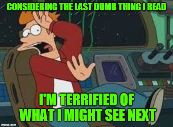 Futurama Fry Scared | CONSIDERING THE LAST DUMB THING I READ I'M TERRIFIED OF WHAT I MIGHT SEE NEXT | image tagged in futurama fry scared | made w/ Imgflip meme maker