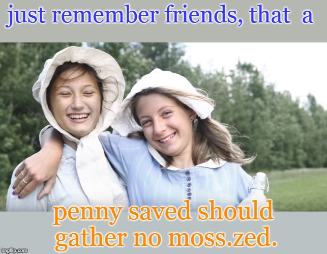 girls just wanna have fun, they say. thanks mr. zed | just remember friends, that  a; penny saved should gather no moss.zed. | image tagged in money pun,girl laff,memes,mixed meta | made w/ Imgflip meme maker