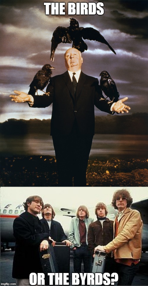 Hitchcock's 1963 film or the mid 60s folk-rock band? | THE BIRDS; OR THE BYRDS? | image tagged in hitchcock birds,funny,music,movies,alfred hitchcock,the byrds | made w/ Imgflip meme maker