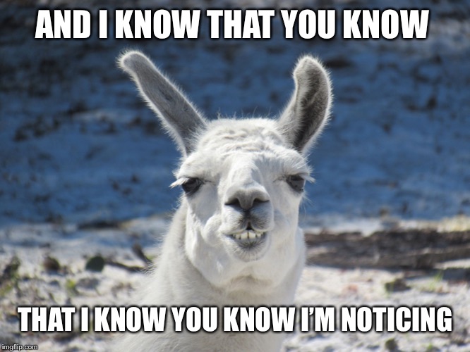 Derp | AND I KNOW THAT YOU KNOW THAT I KNOW YOU KNOW I’M NOTICING | image tagged in derp | made w/ Imgflip meme maker