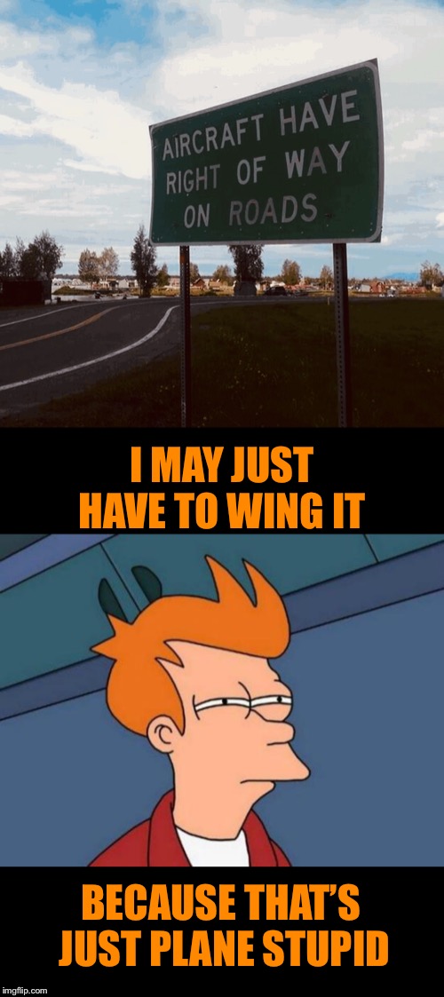 A special kind of stupid  | I MAY JUST HAVE TO WING IT; BECAUSE THAT’S JUST PLANE STUPID | image tagged in memes,futurama fry,airplane,special kind of stupid,are you sure,you can't explain that | made w/ Imgflip meme maker
