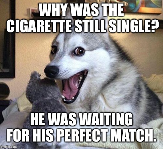Pun Dog Punchline | WHY WAS THE CIGARETTE STILL SINGLE? HE WAS WAITING FOR HIS PERFECT MATCH. | image tagged in pun dog punchline | made w/ Imgflip meme maker
