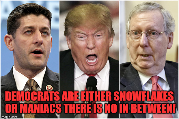 Republicans1234 | DEMOCRATS ARE EITHER SNOWFLAKES OR MANIACS THERE IS NO IN BETWEEN! | image tagged in republicans1234,republicans,democrats,politics,hate,narcissism | made w/ Imgflip meme maker