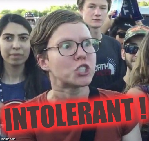 Triggered feminist | INTOLERANT ! | image tagged in triggered feminist | made w/ Imgflip meme maker