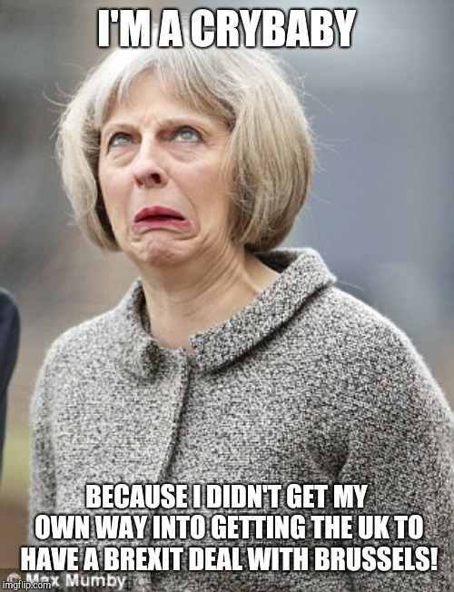 Theresa May | I'M A CRYBABY; BECAUSE I DIDN'T GET MY OWN WAY INTO GETTING THE UK TO HAVE A BREXIT DEAL WITH BRUSSELS! | image tagged in theresa may | made w/ Imgflip meme maker