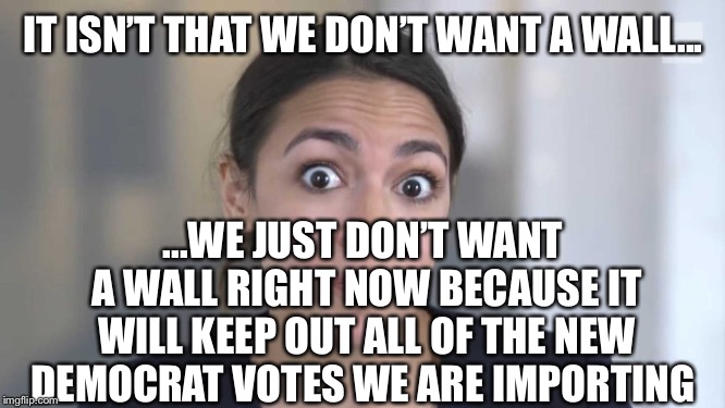 Crazy Alexandria Ocasio-Cortez | IT ISN’T THAT WE DON’T WANT A WALL... ...WE JUST DON’T WANT A WALL RIGHT NOW BECAUSE IT WILL KEEP OUT ALL OF THE NEW DEMOCRAT VOTES WE ARE I | image tagged in crazy alexandria ocasio-cortez | made w/ Imgflip meme maker