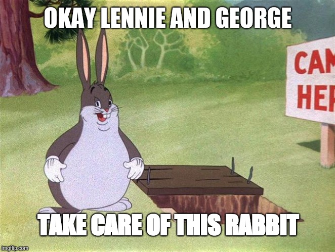 Of Mice and CHUNGUS | OKAY LENNIE AND GEORGE; TAKE CARE OF THIS RABBIT | image tagged in big chungus | made w/ Imgflip meme maker